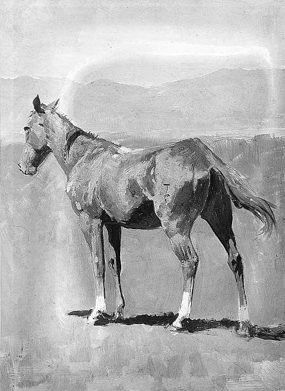 Untitled (Horse study)