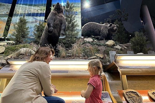 ET-Dana- DNHM-web Exclusive Tours guide Dana with a young visitor by the grizzly bear exhibition in the Draper Natural History Museum.