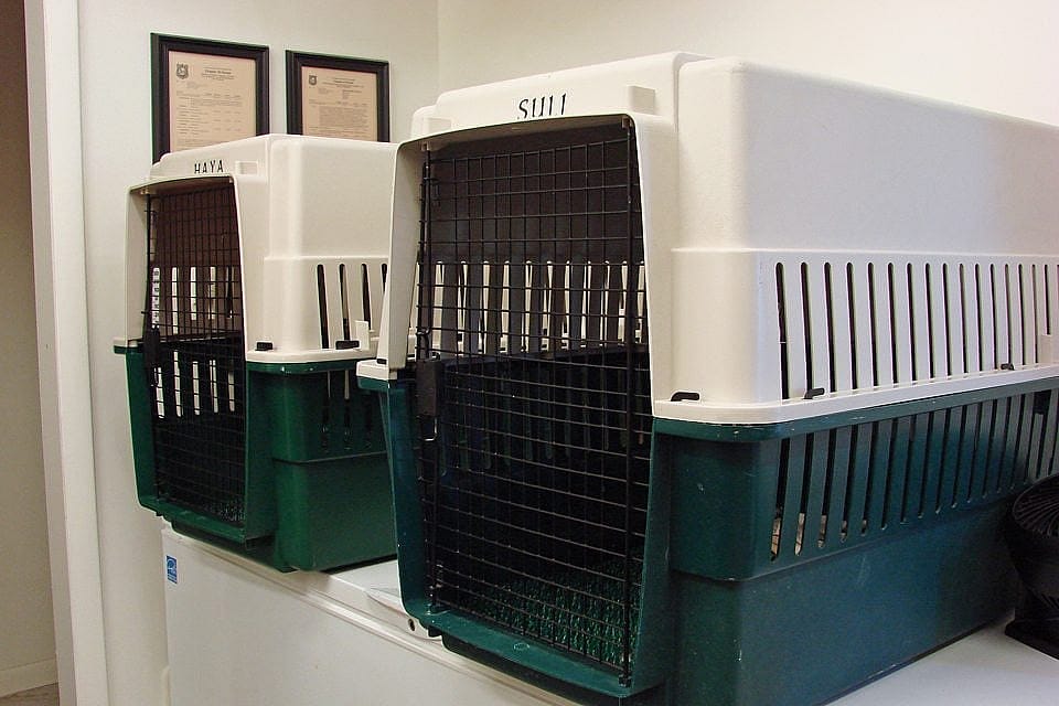 Hayabusa and Suli’s Travel Boxes