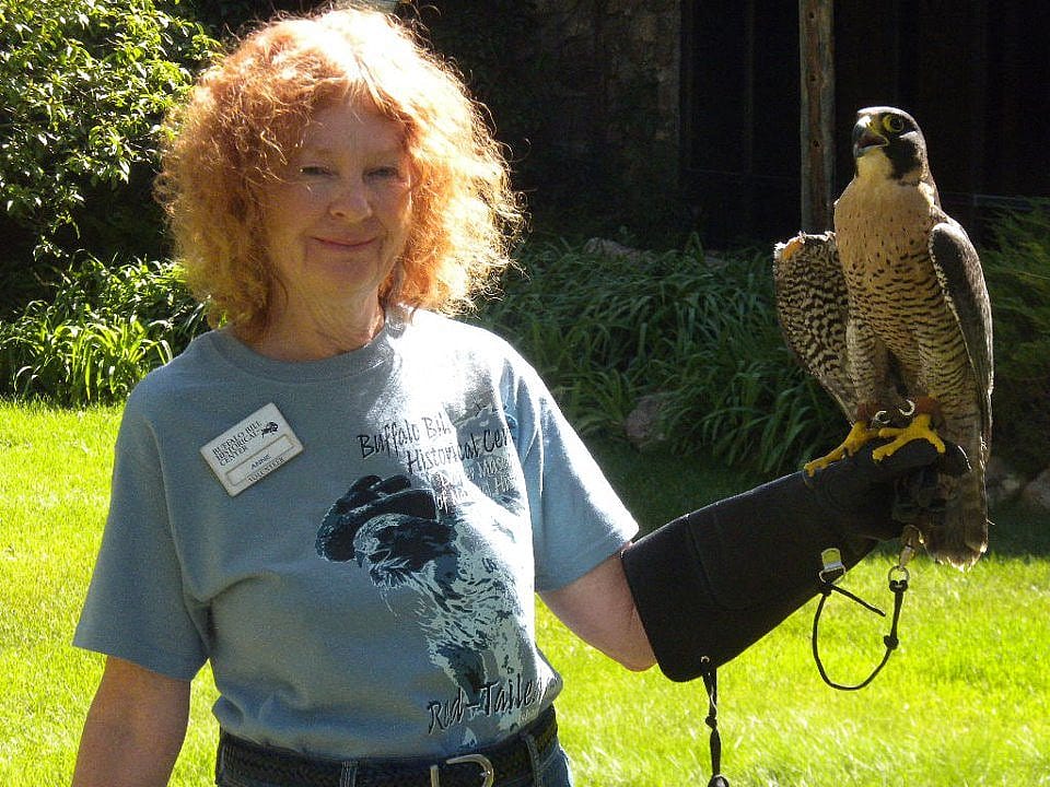 Hayabusa & Volunteer Anne at the Greater Yellowstone Raptor Experience