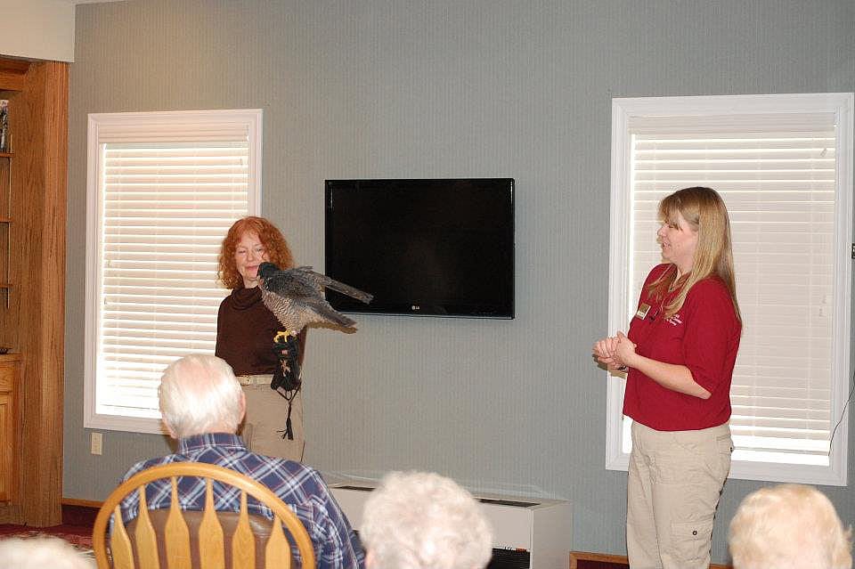 Melissa speaking at a program in Powell, Wyoming with Hayabusa rousing on volunteer Anne's glove.