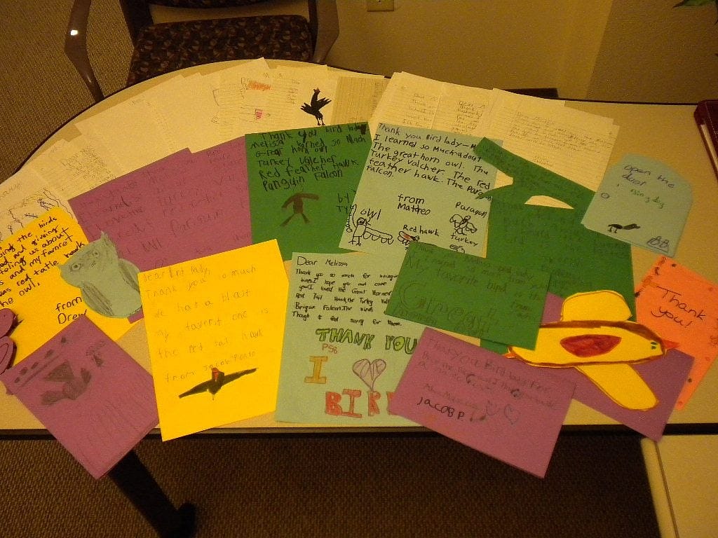 Thank you cards we received from the students in Ft. Collins. What a great surprise!