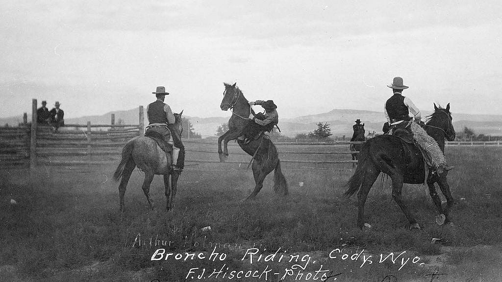 Arthur Holman bronc riding at Stampede Rodeo, Clarence William at left, Blocker Dodge at right. MS 005 Cody Local History Collection. P.69.1703