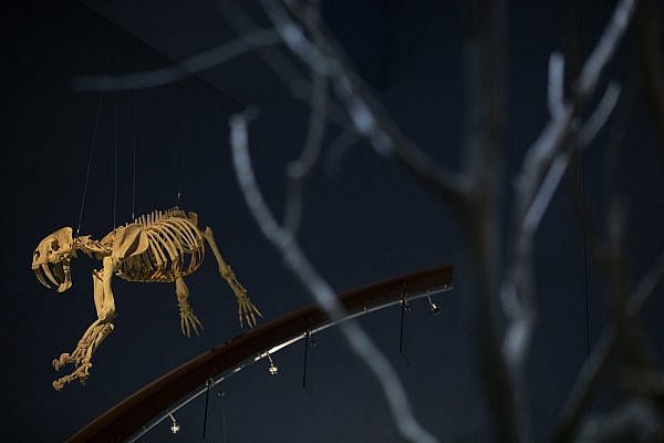BuffaloBillCenter_033