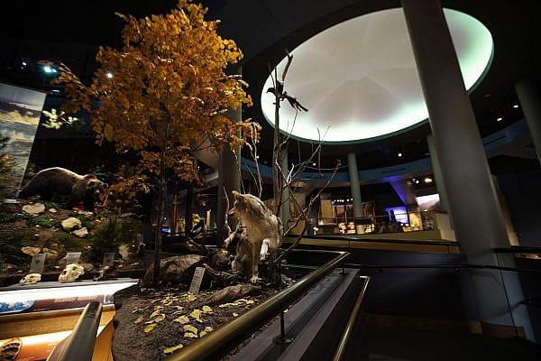 BuffaloBillCenter_035