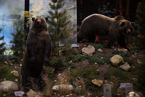 BuffaloBillCenter_044