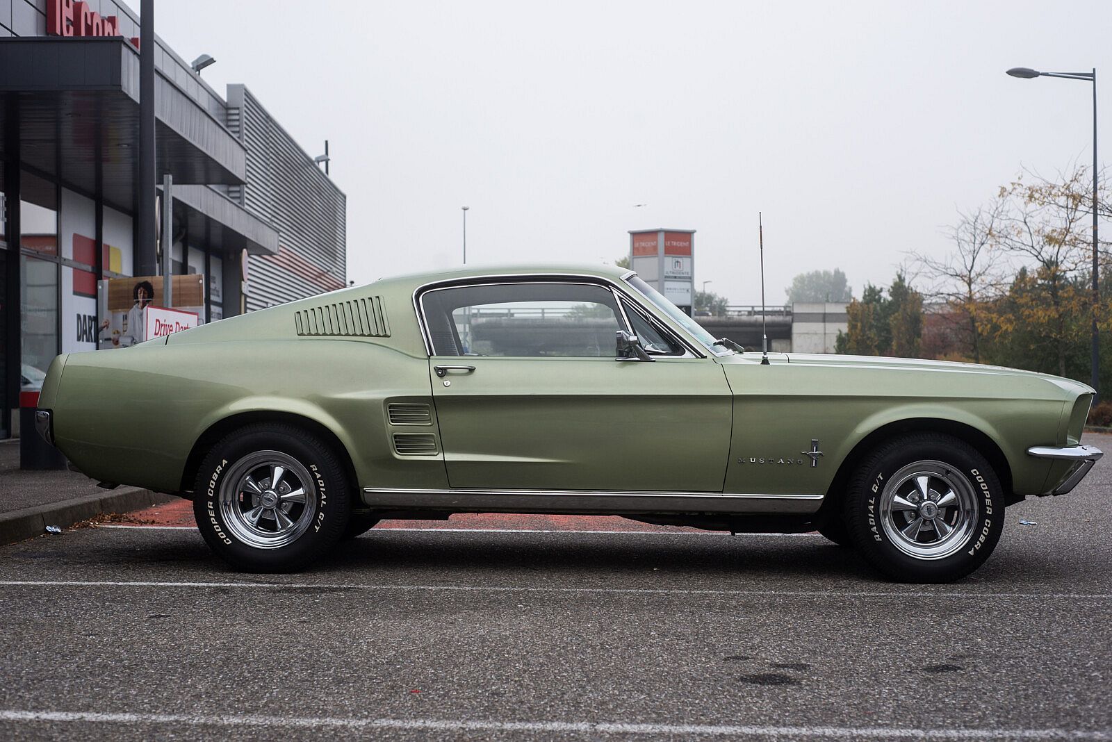 Ford Mustang Fastback (1965 - 1970)   ---photo credit: pixarno - stock.adobe.com