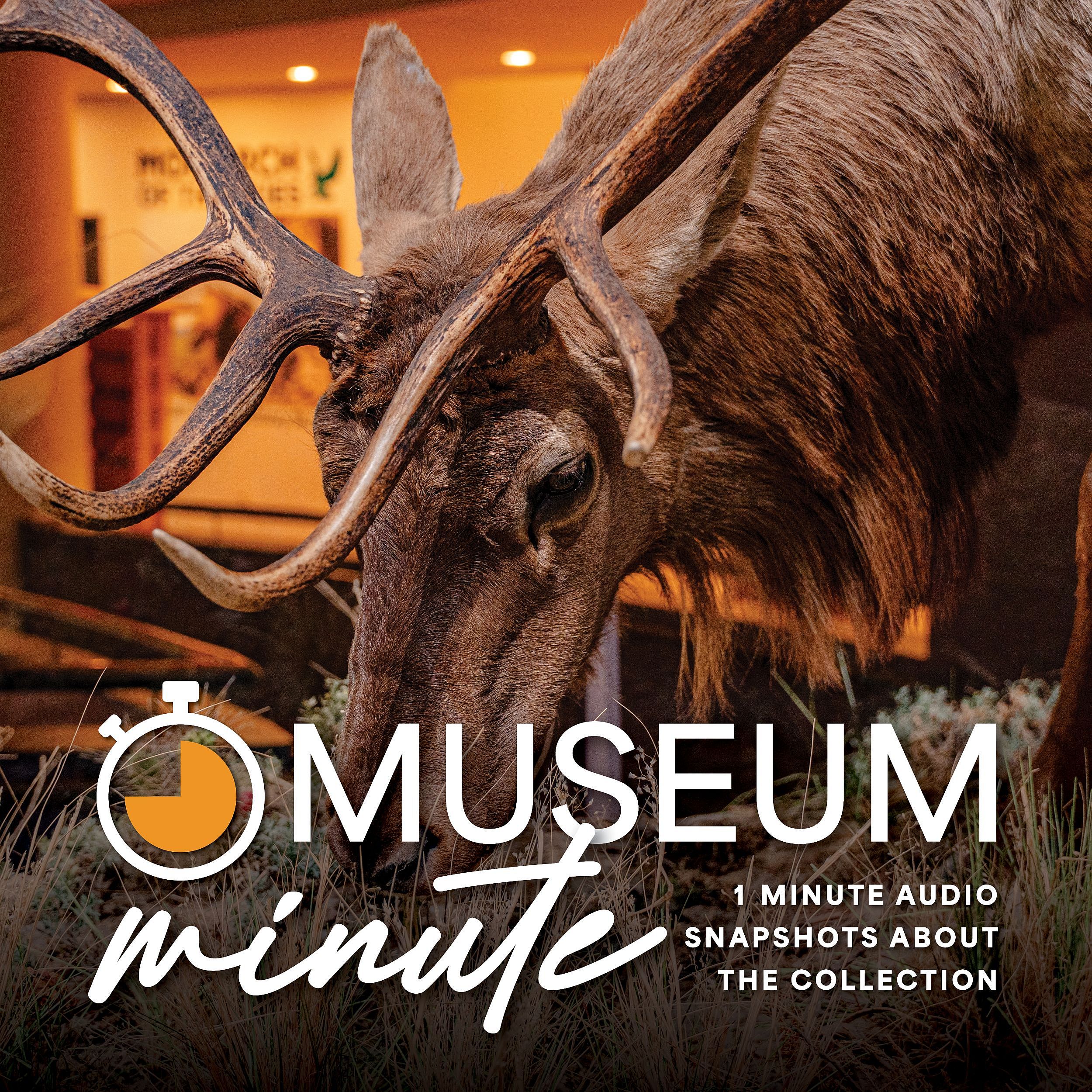 Museum Minute2