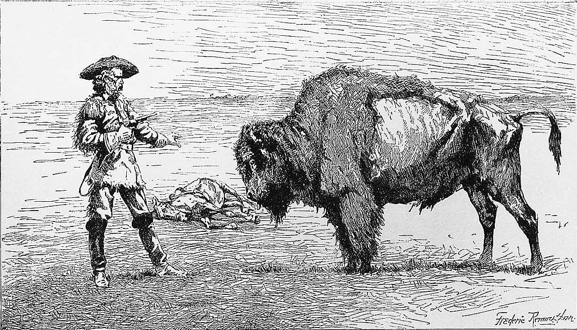 A Buffalo Undecided As to an Attack on General Custer