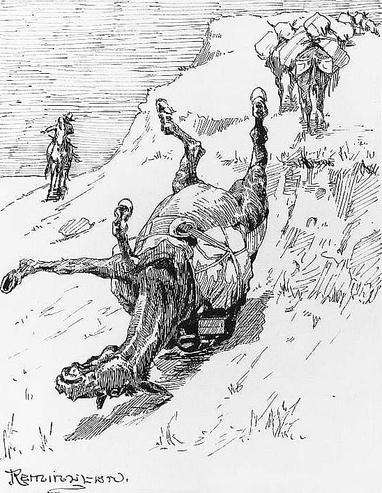 "One of the Pack-Mules Turned a Somersault"