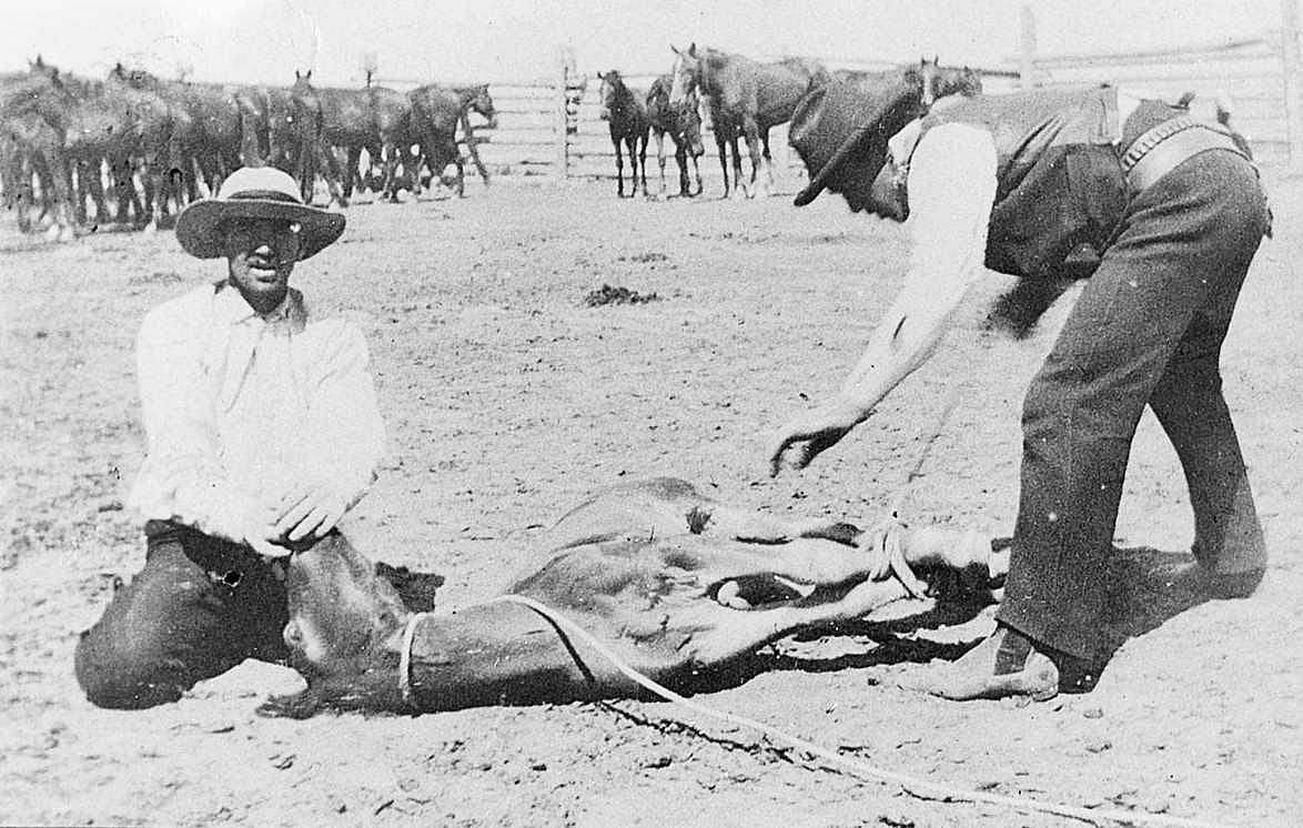 "S.U. Ranch", Wyoming for the vignette "Branding"