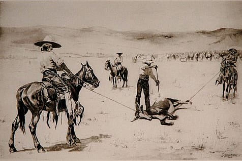 Branding Cattle
