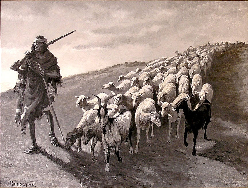 A Navajo Sheep-Herder