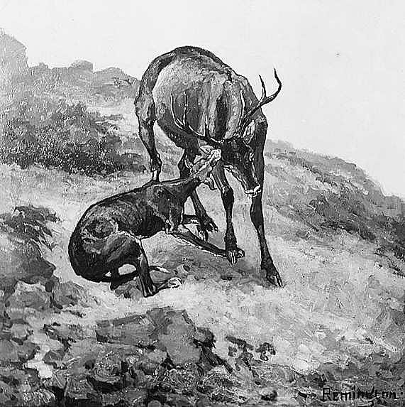 The Buck Overtaken