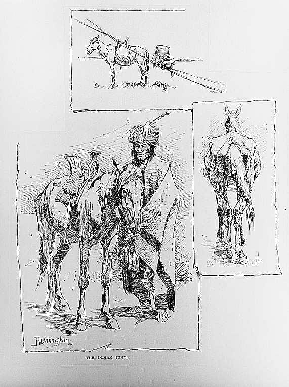 The Indian Pony