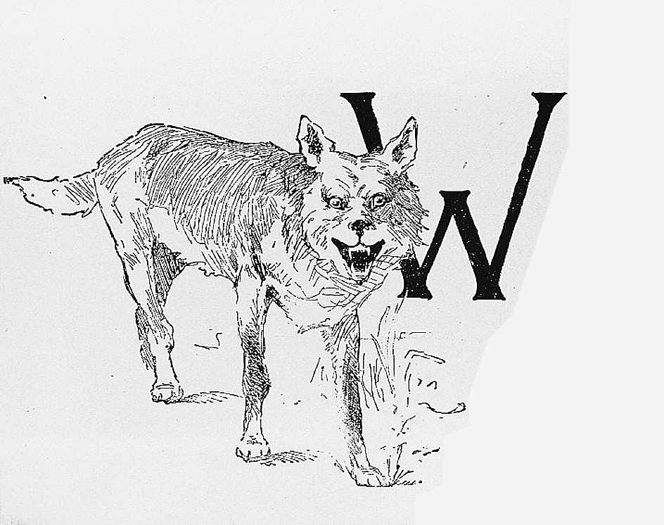 Untitled (Ranch Life and the Hunting-Trail, initial-piece for letter W, coyote)