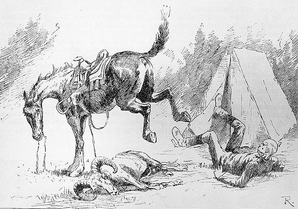 The Docile Old Brute Turned and Kicked Me