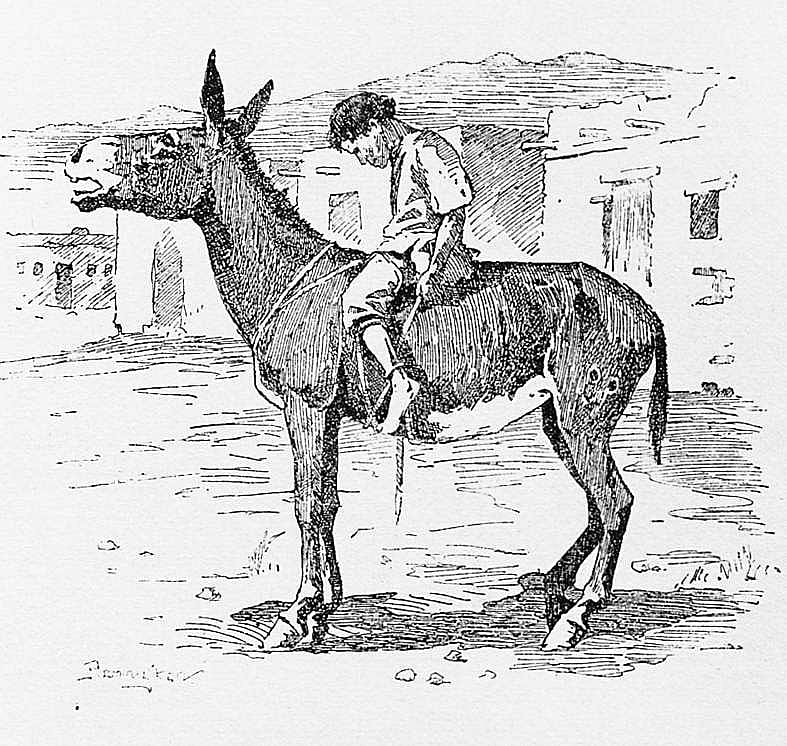 Untitled ("Marcellino and Tecalotina," boy on a donkey)