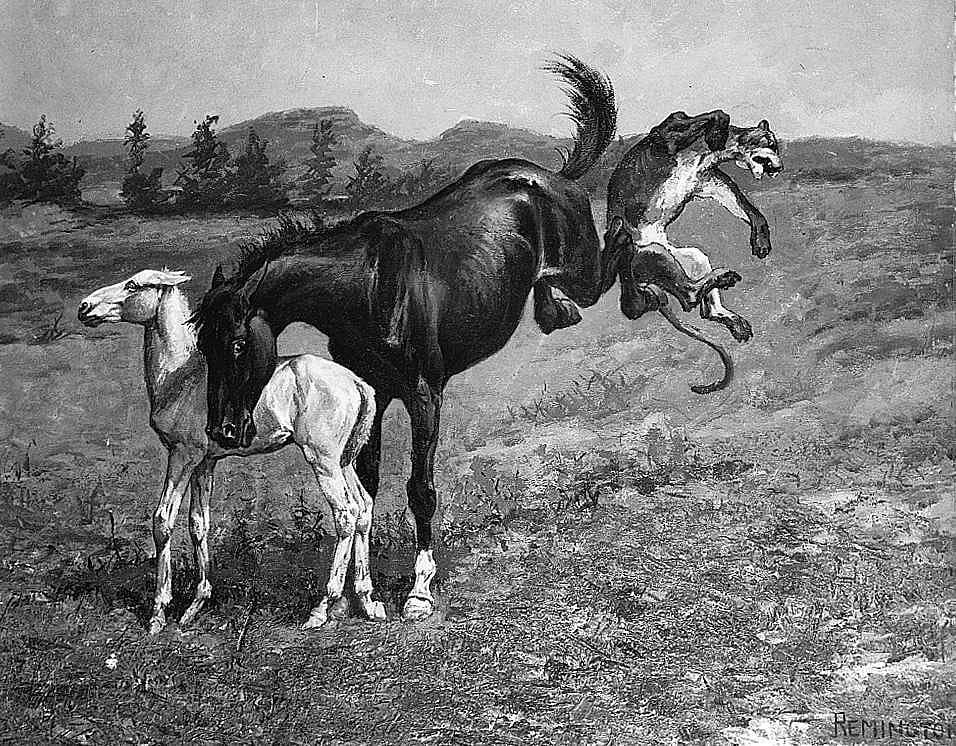 The Mare Defends Her Colt