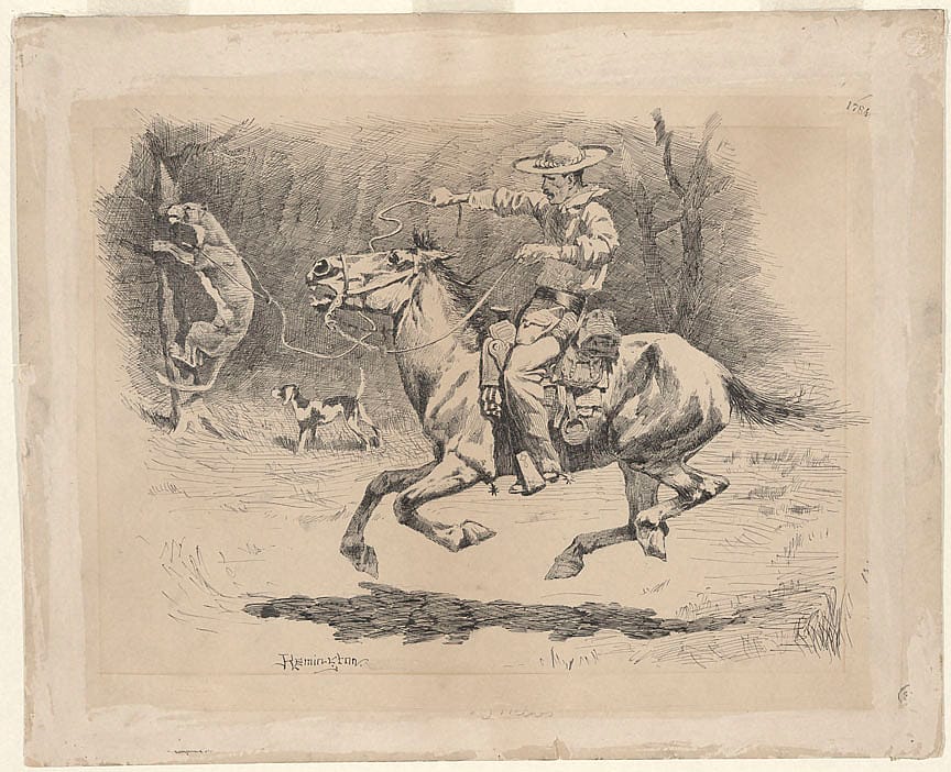 "Spurring His Horse in Pursuit, He Threw His Unerring Lasso, Just as the Animal Sprang to Climb the Tree,"