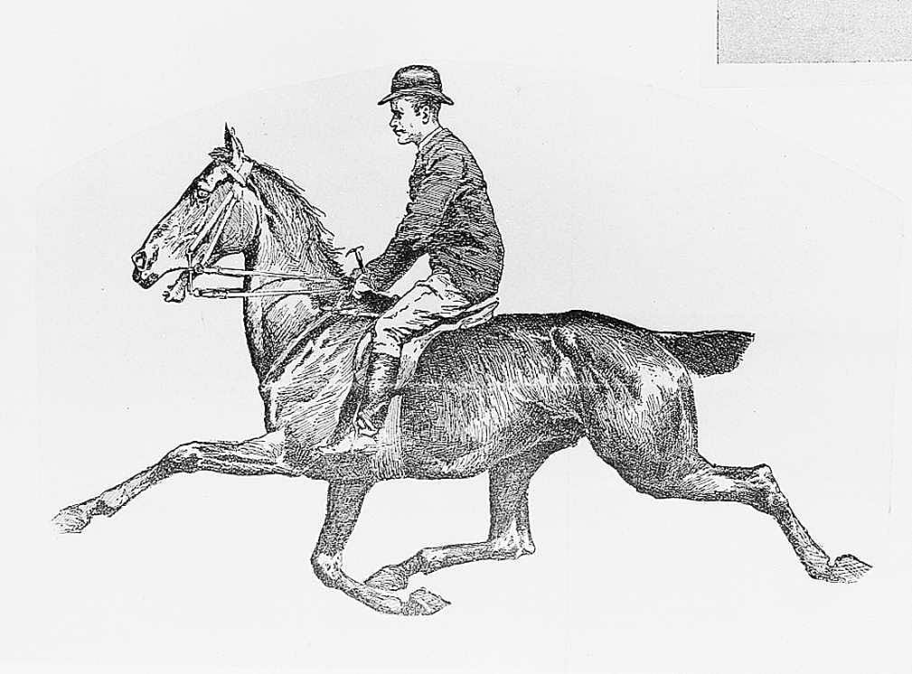 Untitled ("On the Bridal-Path in Central Park," man riding)