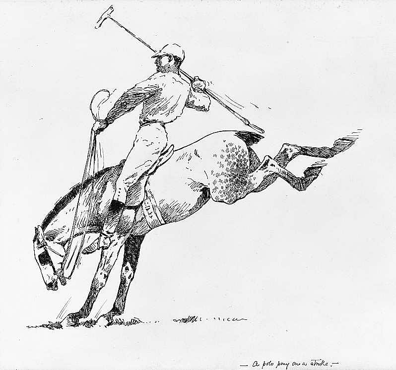 A Polo Pony on a Strike