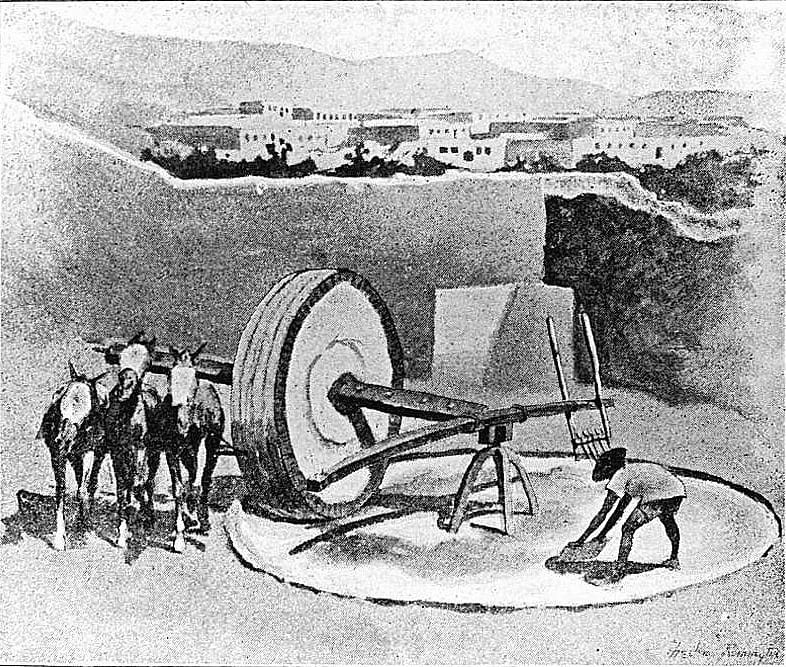Grinding Ore in the Arrastre