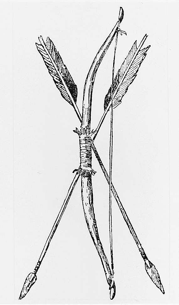 Buffalo Bow