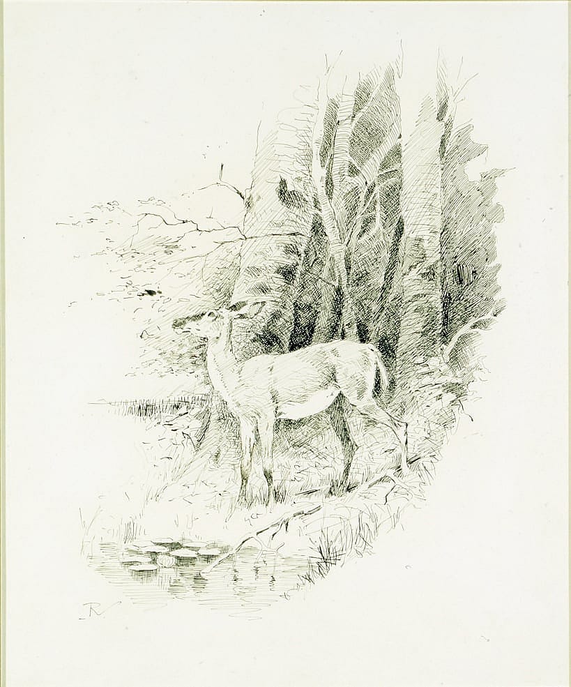Card image cap
