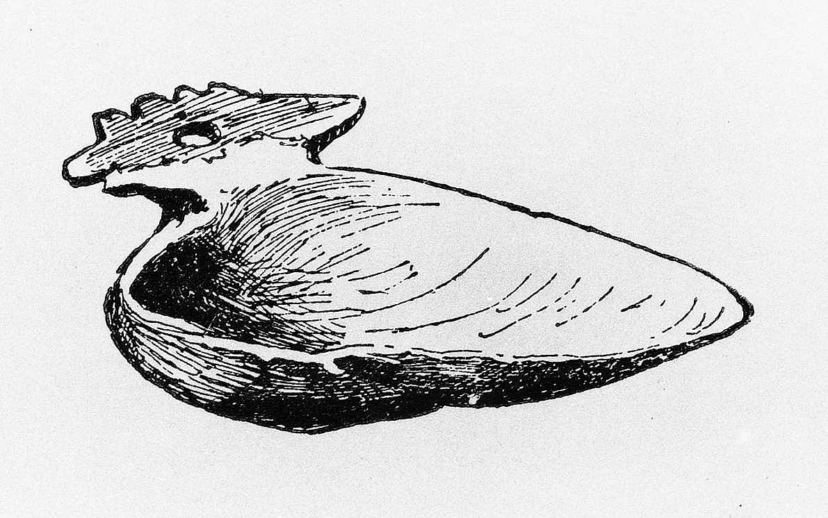 Shell Spoon