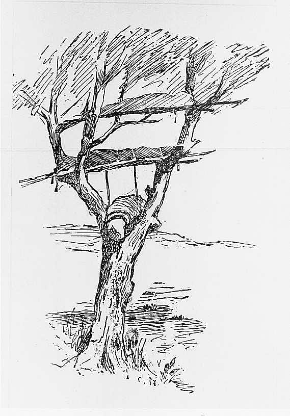 Tree Graves