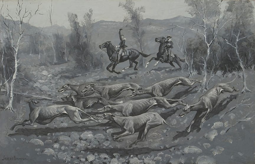Running a Coyote with Hounds in Southern California