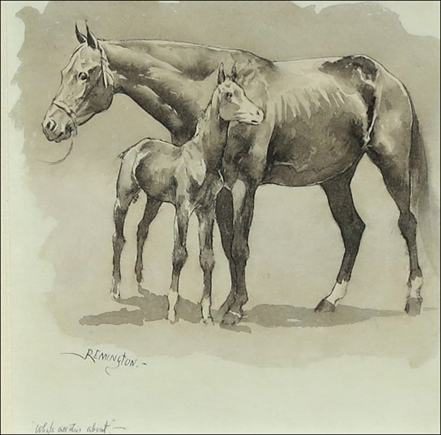 Mare and Colt