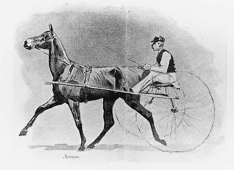 Trotting Horse