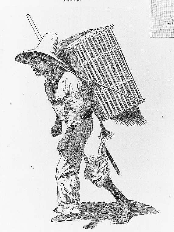 Chicken -Seller