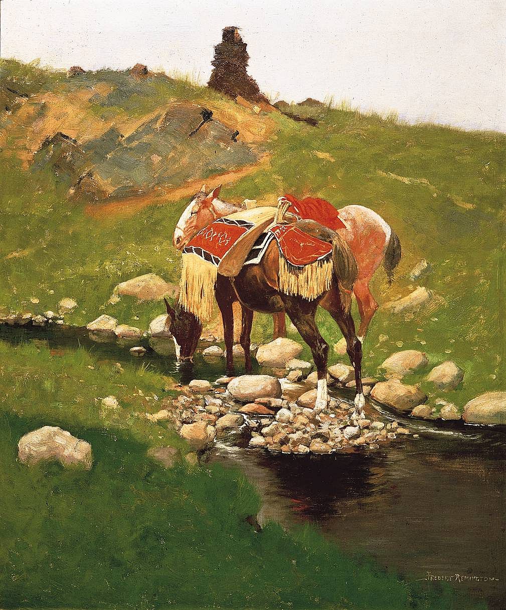 Two Horses at a Pool