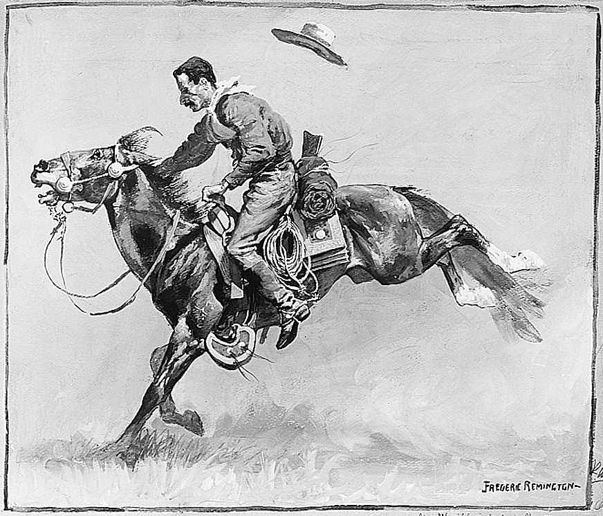 A Sample Steed