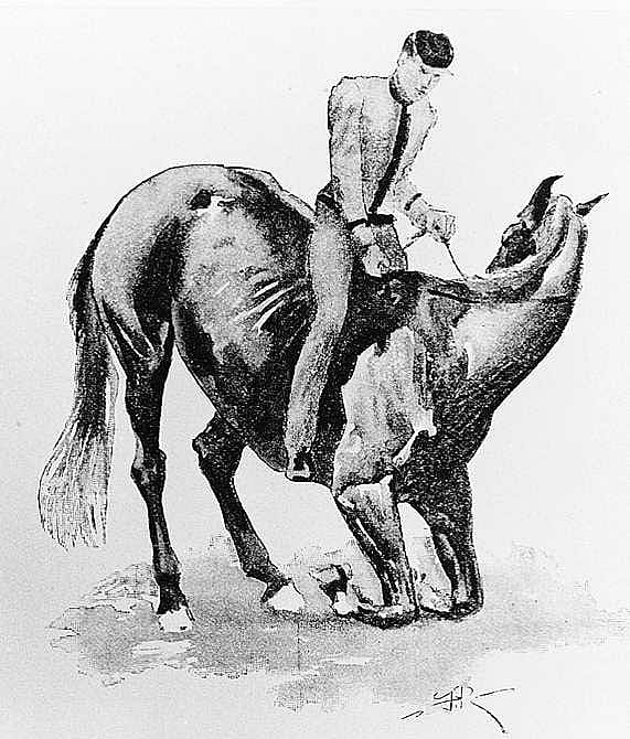 Throwing Horse