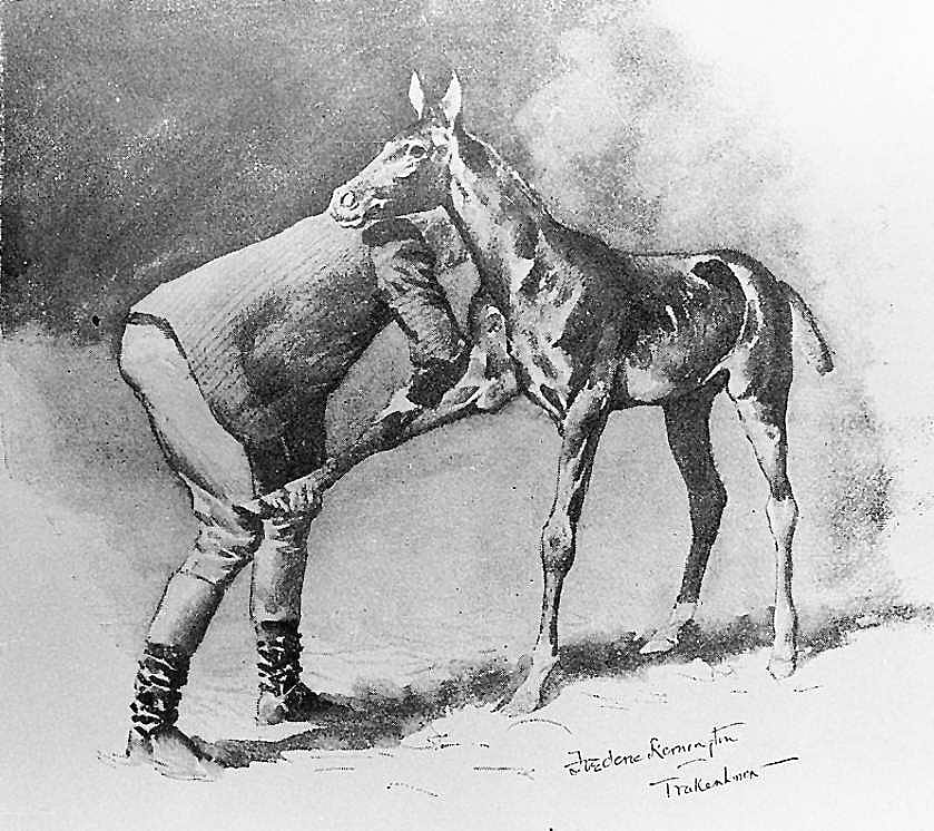 Massage of a Colt