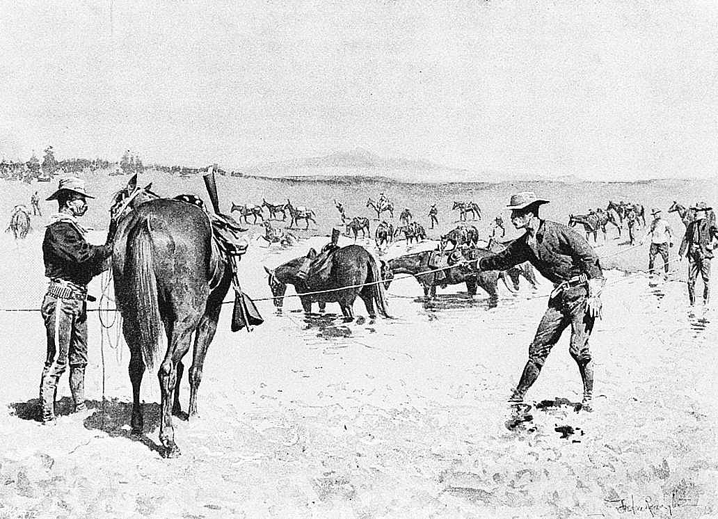 Watering Horses in a 