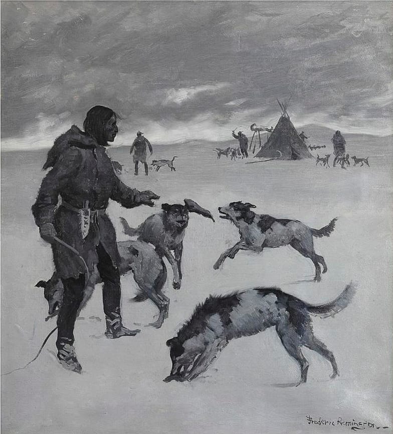 Feeding the Dogs
