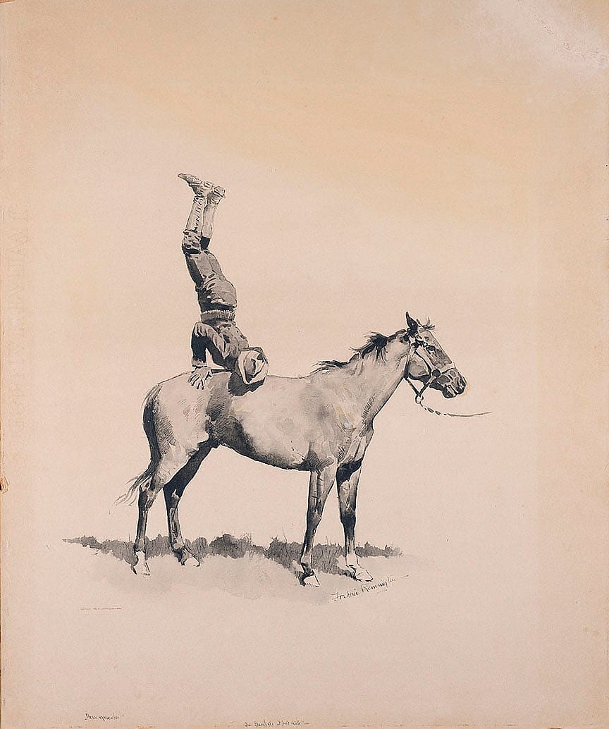 Horse Gymnastics