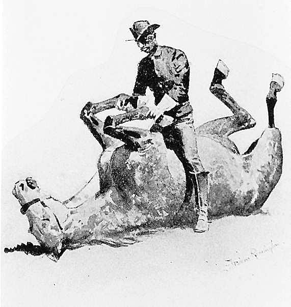 A Tame Horse