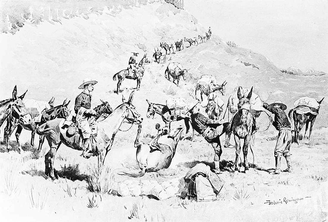 A Government Pack Train