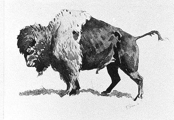 Untitled (The Old Santa Fe Trail, buffalo)