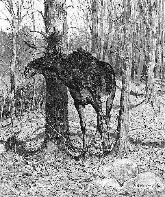 "The Moose Could Hear Him Coming for an Hour"