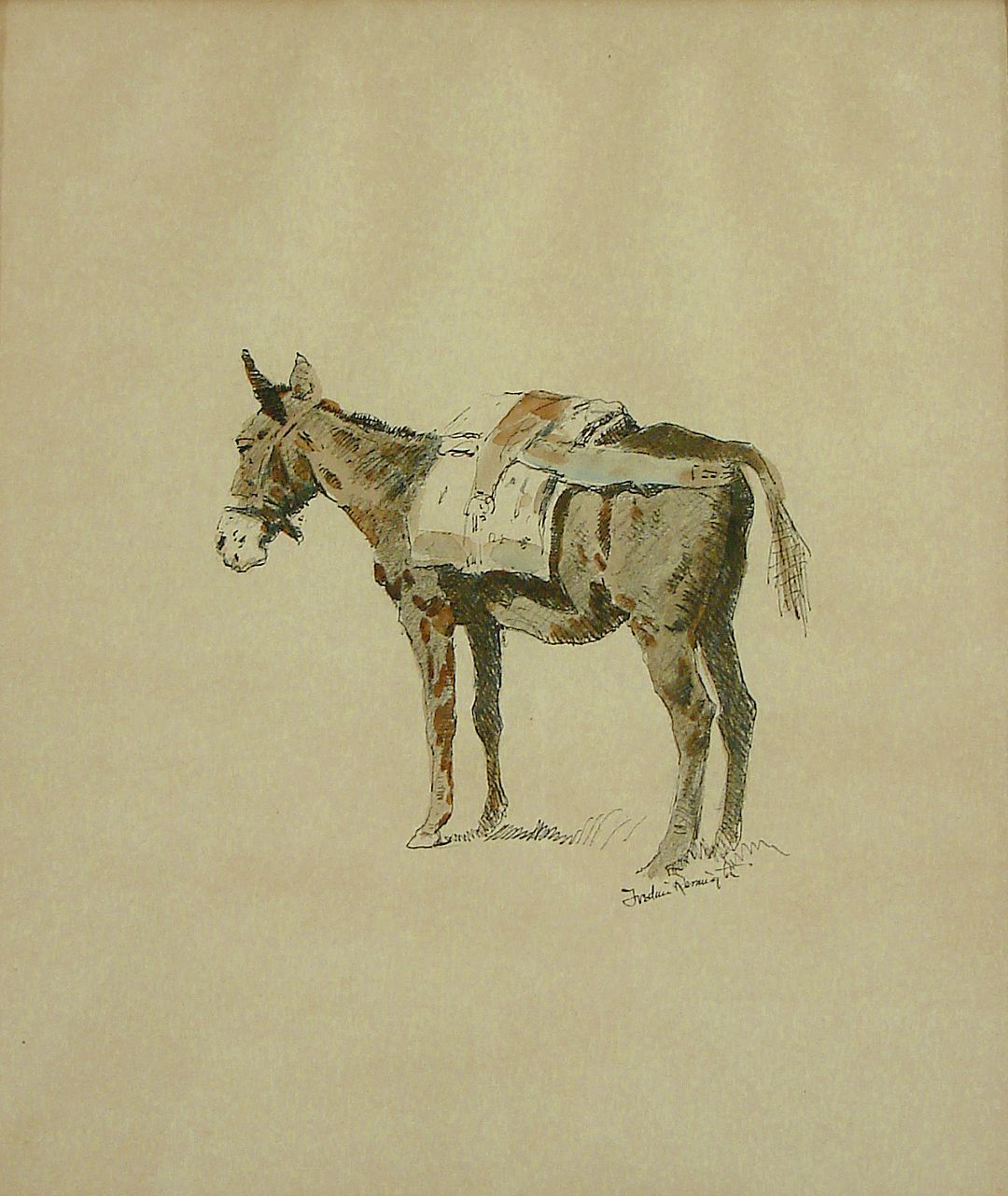 Catalogue number 02456.1