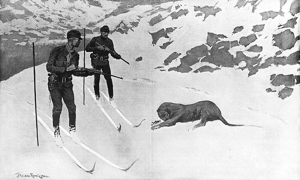 The Outlaw (Heroes, Heroes--Mountain Lion in the Snow, alterns.)