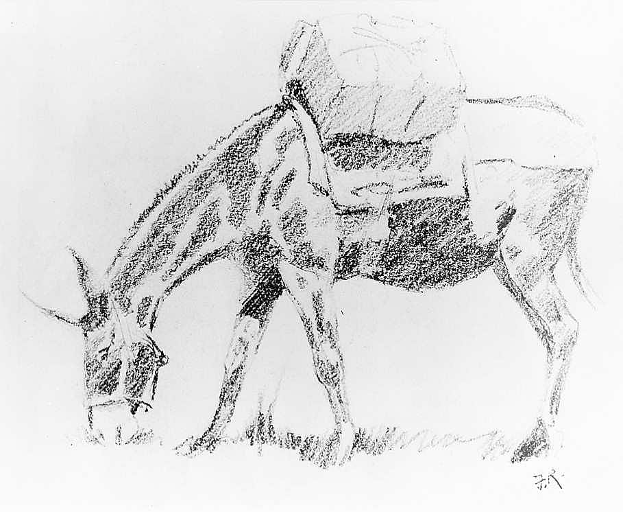 Untitled (Done in the Open, mule with pack)