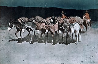 An Early Start for Market